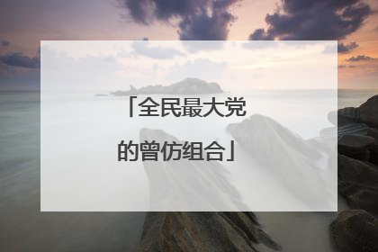 全民最大党的曾仿组合