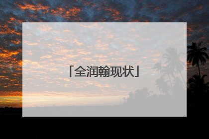 全润翰现状