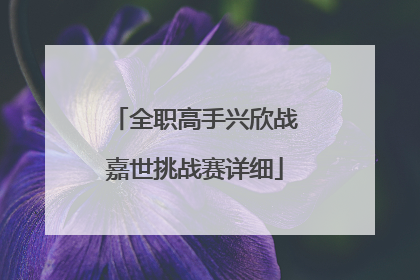 全职高手兴欣战嘉世挑战赛详细