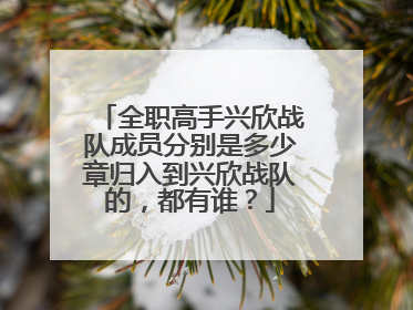 全职高手兴欣战队成员分别是多少章归入到兴欣战队的,都有谁?