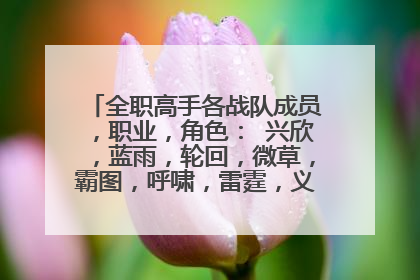 全职高手各战队成员,职业,角色: 兴欣,蓝雨,轮回,微草,霸图,呼啸,雷霆,义斩等等等,求全