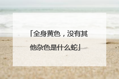 全身黄色,没有其他杂色是什么蛇