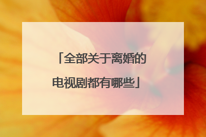 全部关于离婚的电视剧都有哪些