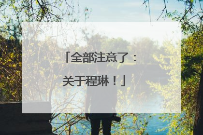 全部注意了：关于程琳！