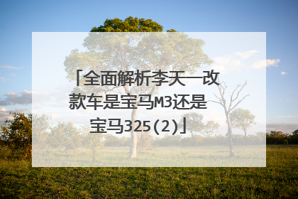 全面解析李天一改款车是宝马M3还是宝马325(2)
