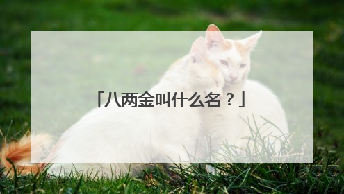 八两金叫什么名?