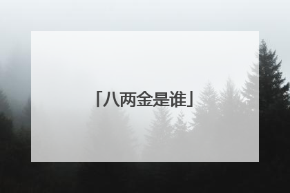 八两金是谁