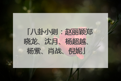 八卦小则：赵丽颖郑晓龙、沈月、杨超越、杨紫、肖战、倪妮