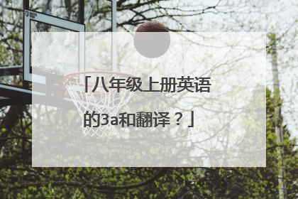八年级上册英语的3a和翻译？