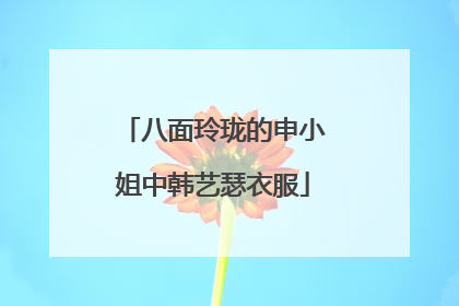 八面玲珑的申小姐中韩艺瑟衣服