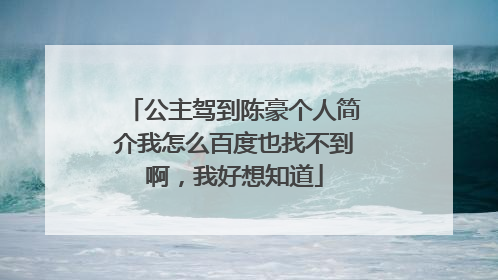 公主驾到陈豪个人简介我怎么百度也找不到啊,我好想知道