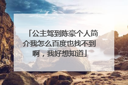 公主驾到陈豪个人简介我怎么百度也找不到啊，我好想知道