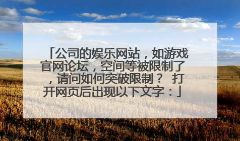 公司的娱乐网站,如游戏官网论坛,空间等被限制了,请问如何突破限制? 打开网页后出现以下文字:
