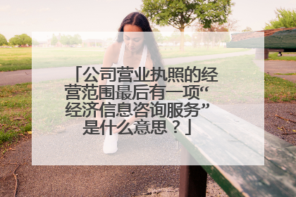 公司营业执照的经营范围最后有一项“经济信息咨询服务”是什么意思?