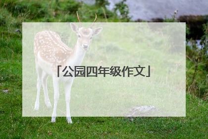 公园四年级作文