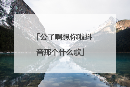 公子啊想你啦抖音那个什么歌