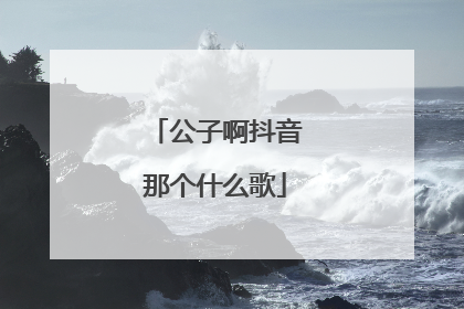 公子啊抖音那个什么歌