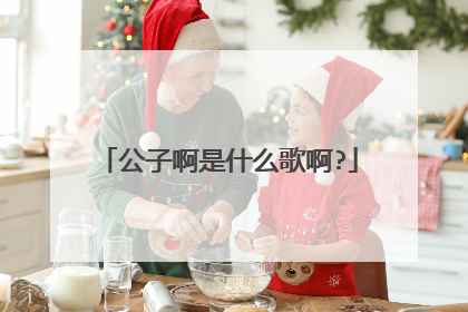 公子啊是什么歌啊?