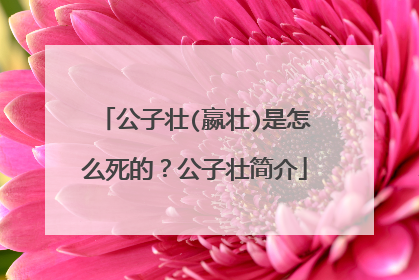 公子壮(嬴壮)是怎么死的？公子壮简介