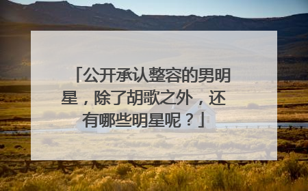 公开承认整容的男明星，除了胡歌之外，还有哪些明星呢？