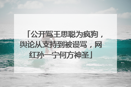 公开骂王思聪为疯狗，舆论从支持到被谩骂，网红孙一宁何方神圣