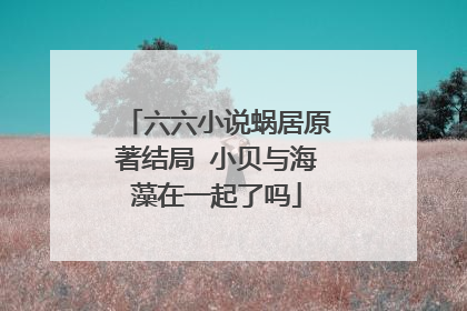 六六小说蜗居原著结局 小贝与海藻在一起了吗