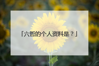 六哲的个人资料是？