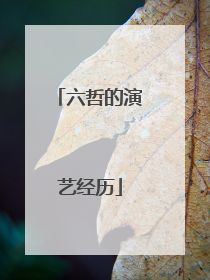 六哲的演艺经历