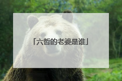 六哲的老婆是谁