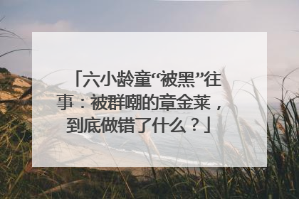 六小龄童“被黑”往事：被群嘲的章金莱，到底做错了什么？