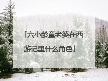 六小龄童老婆在西游记里什么角色