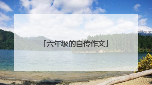 六年级的自传作文