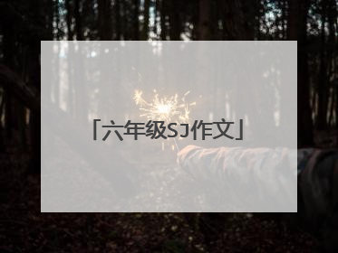 六年级SJ作文