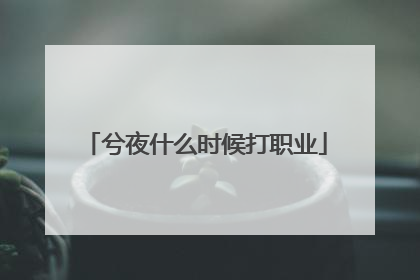 兮夜什么时候打职业