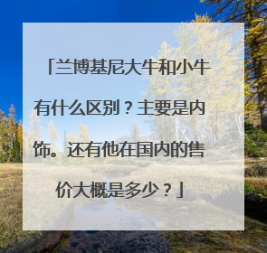 兰博基尼大牛和小牛有什么区别?主要是内饰。还有他在国内的售价大概是多少?