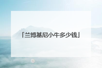 兰博基尼小牛多少钱