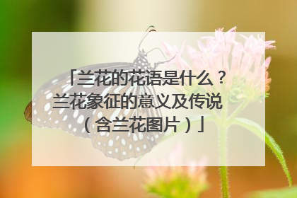 兰花的花语是什么？兰花象征的意义及传说（含兰花图片）