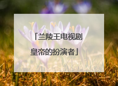 兰陵王电视剧皇帝的扮演者