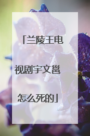 兰陵王电视剧宇文邕怎么死的