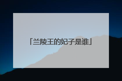 兰陵王的妃子是谁