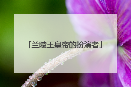 兰陵王皇帝的扮演者