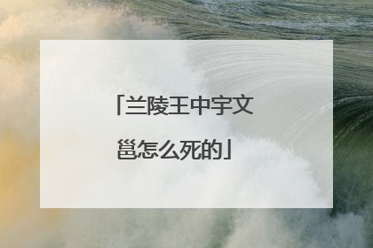 兰陵王中宇文邕怎么死的