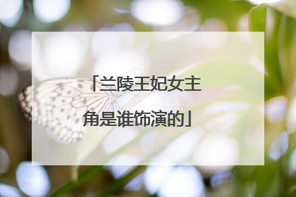 兰陵王妃女主角是谁饰演的