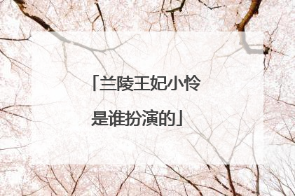 兰陵王妃小怜是谁扮演的