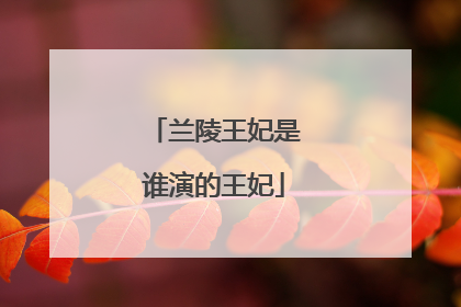 兰陵王妃是谁演的王妃