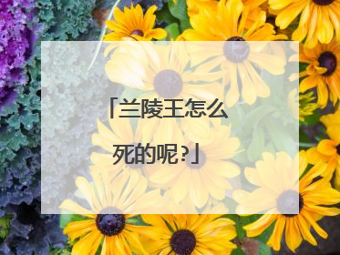 兰陵王怎么死的呢?