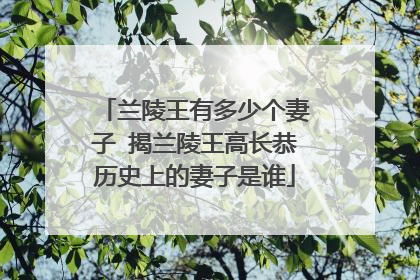 兰陵王有多少个妻子 揭兰陵王高长恭历史上的妻子是谁