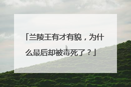 兰陵王有才有貌，为什么最后却被毒死了？