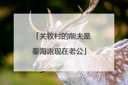 关牧村的前夫是秦海露现在老公