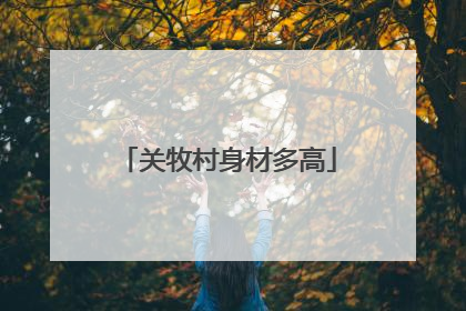 关牧村身材多高
